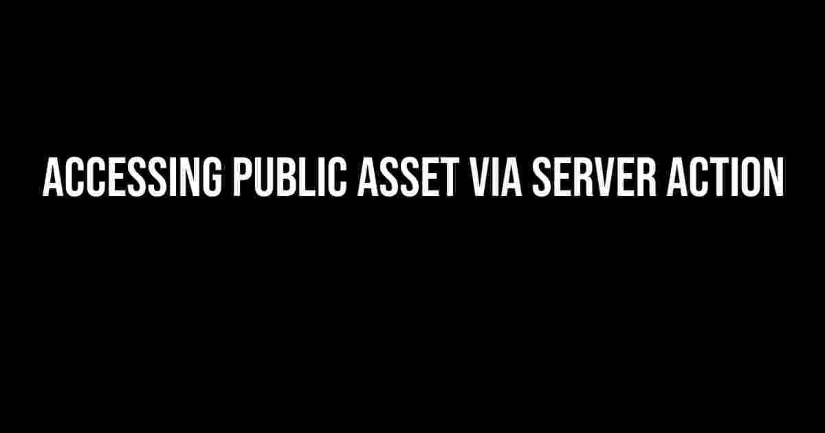 Accessing Public Asset via Server Action